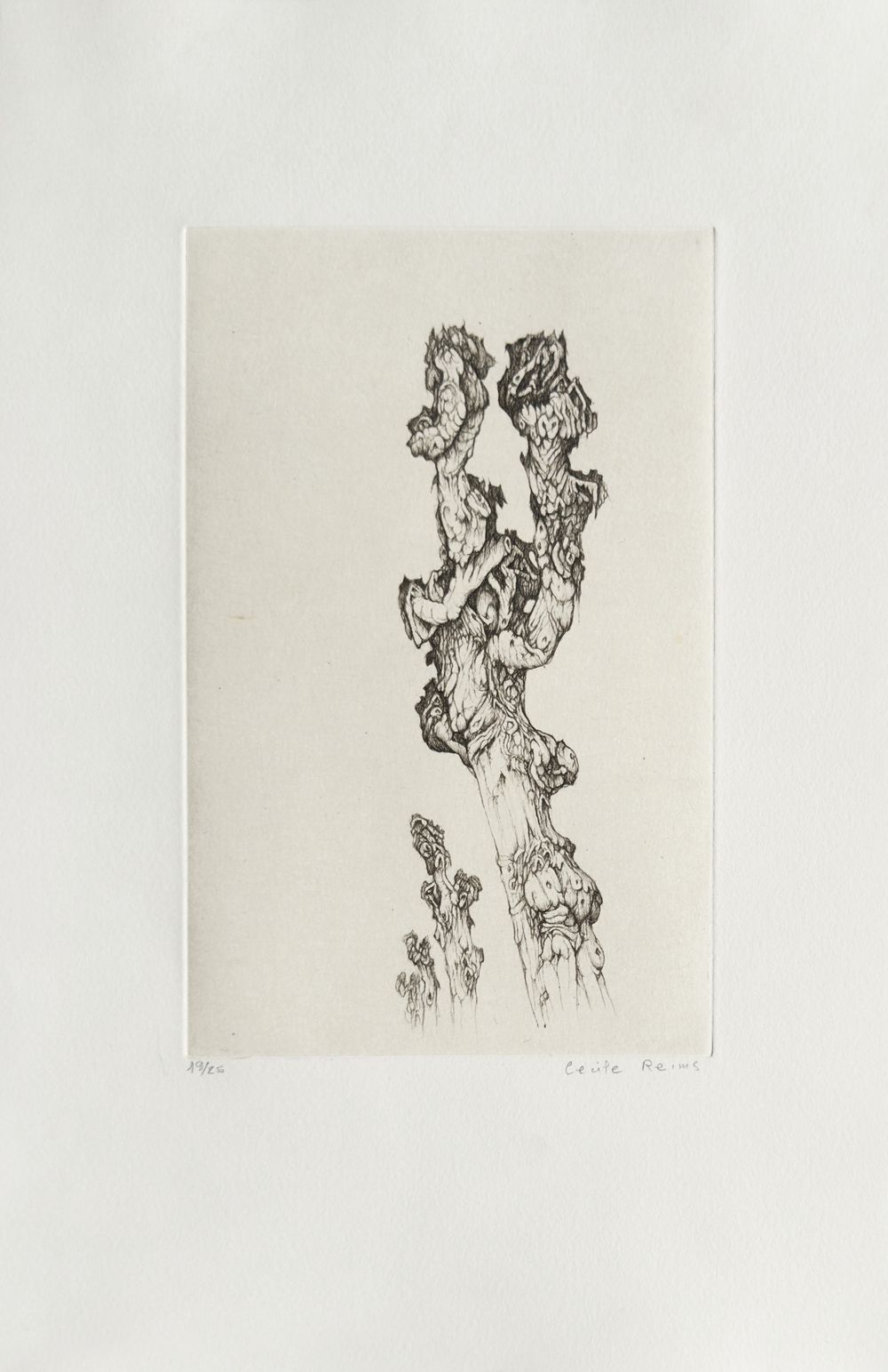 Plaies d'arbres (portfolio de 10 gravures)