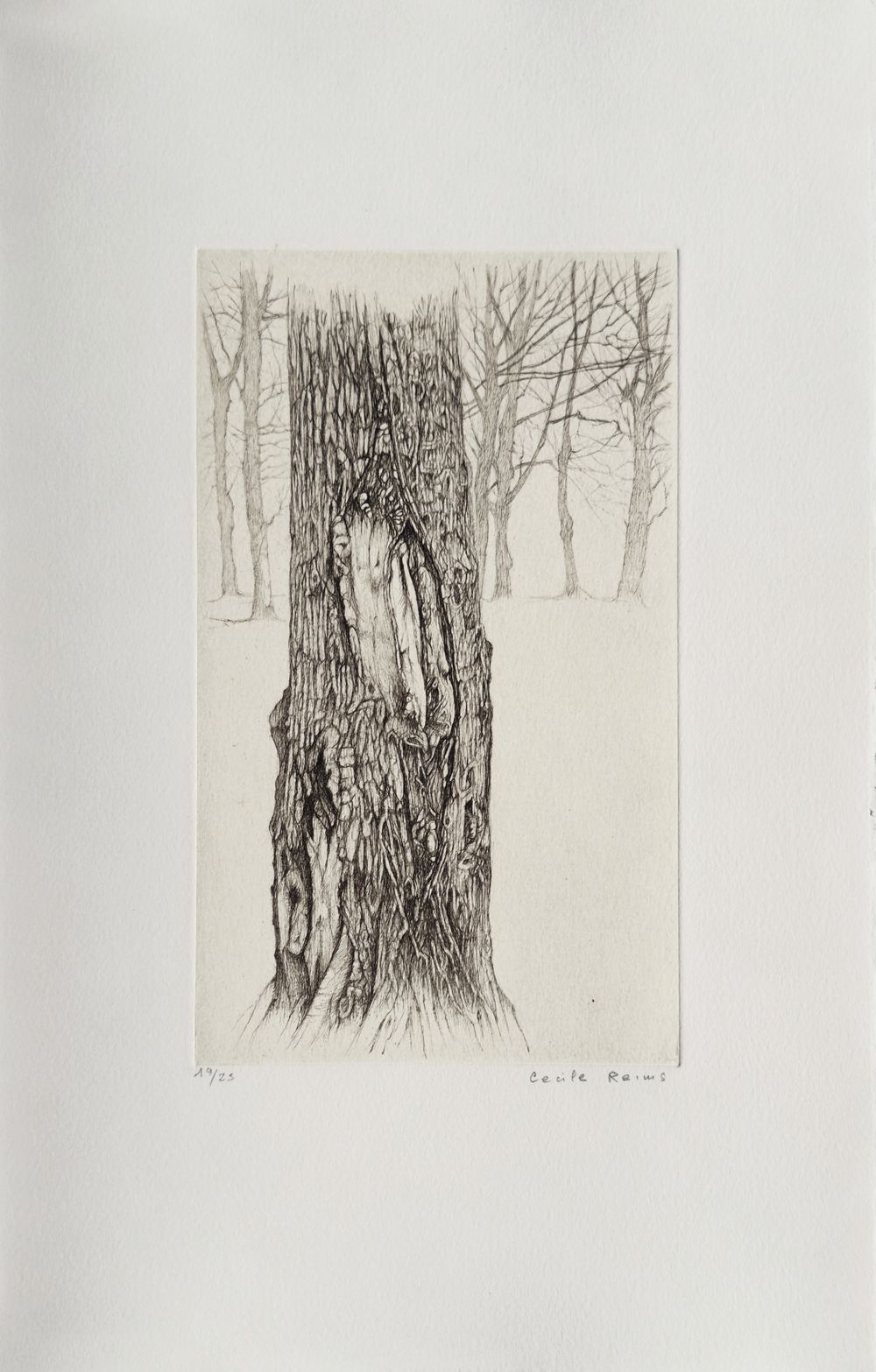 Plaies d'arbres (portfolio de 10 gravures)