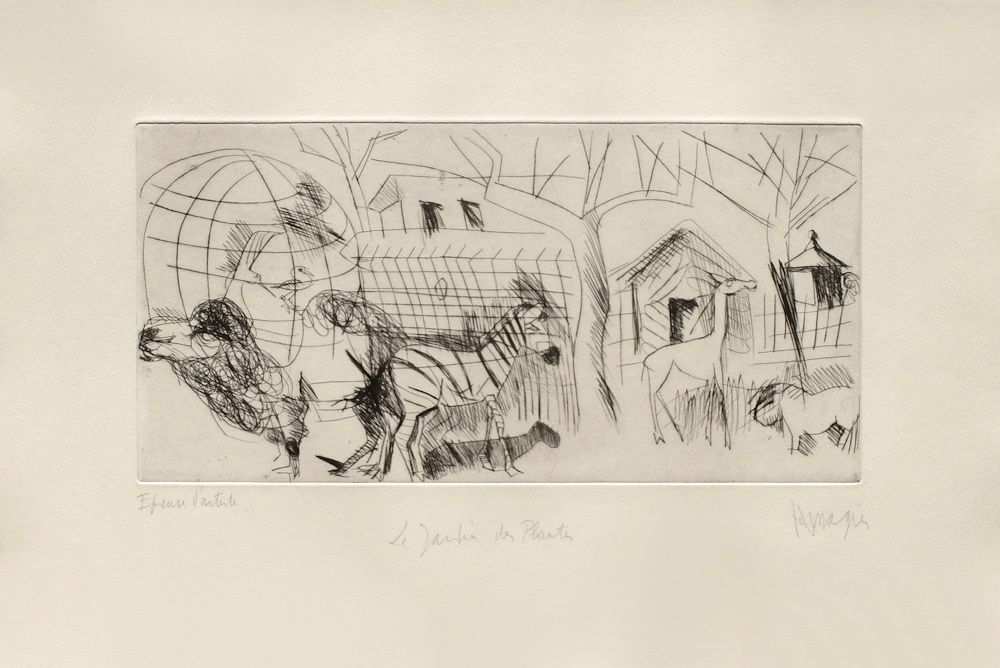 AP012 - Jardin des Plantes