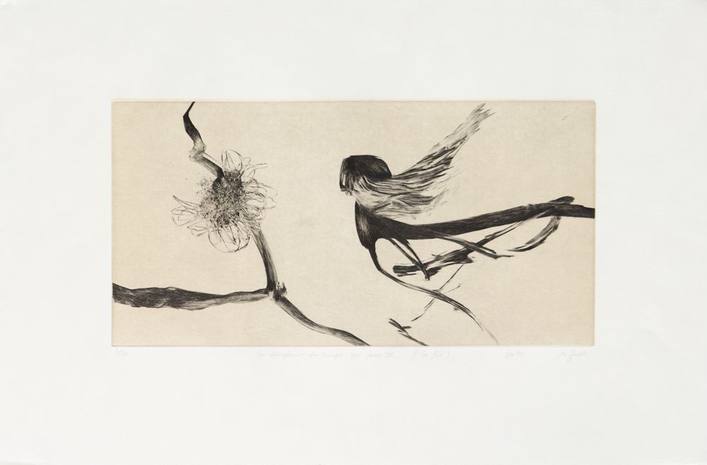 Les dompteurs du temps qui passe IV - La fée