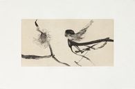 Les dompteurs du temps qui passe IV - La fée