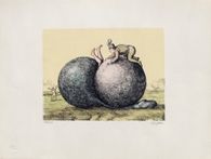 Jeu de boules