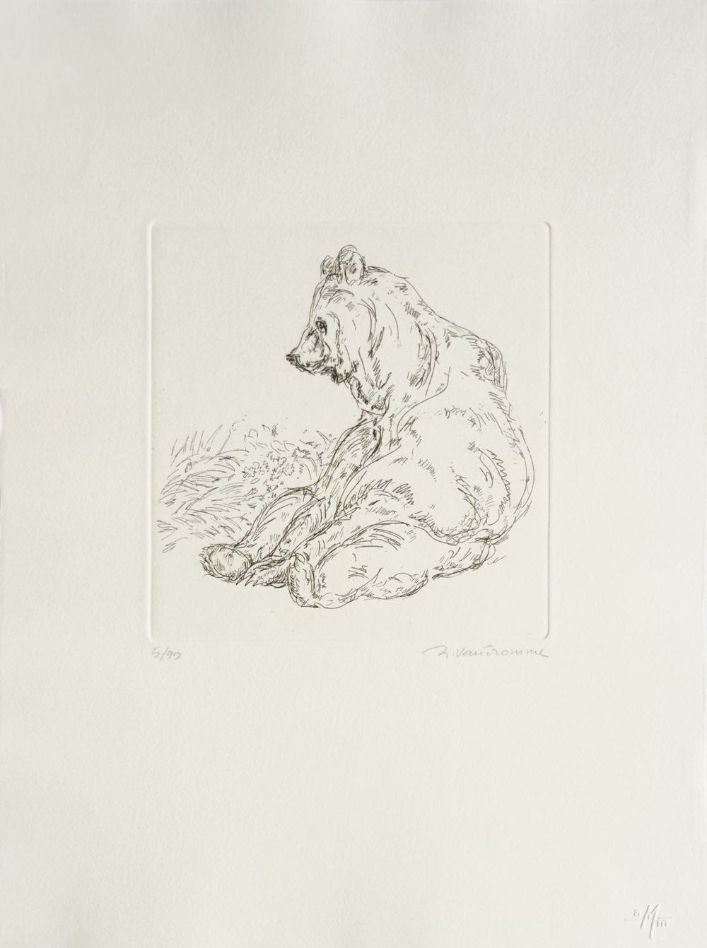 L'ours I