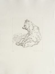 L'ours I