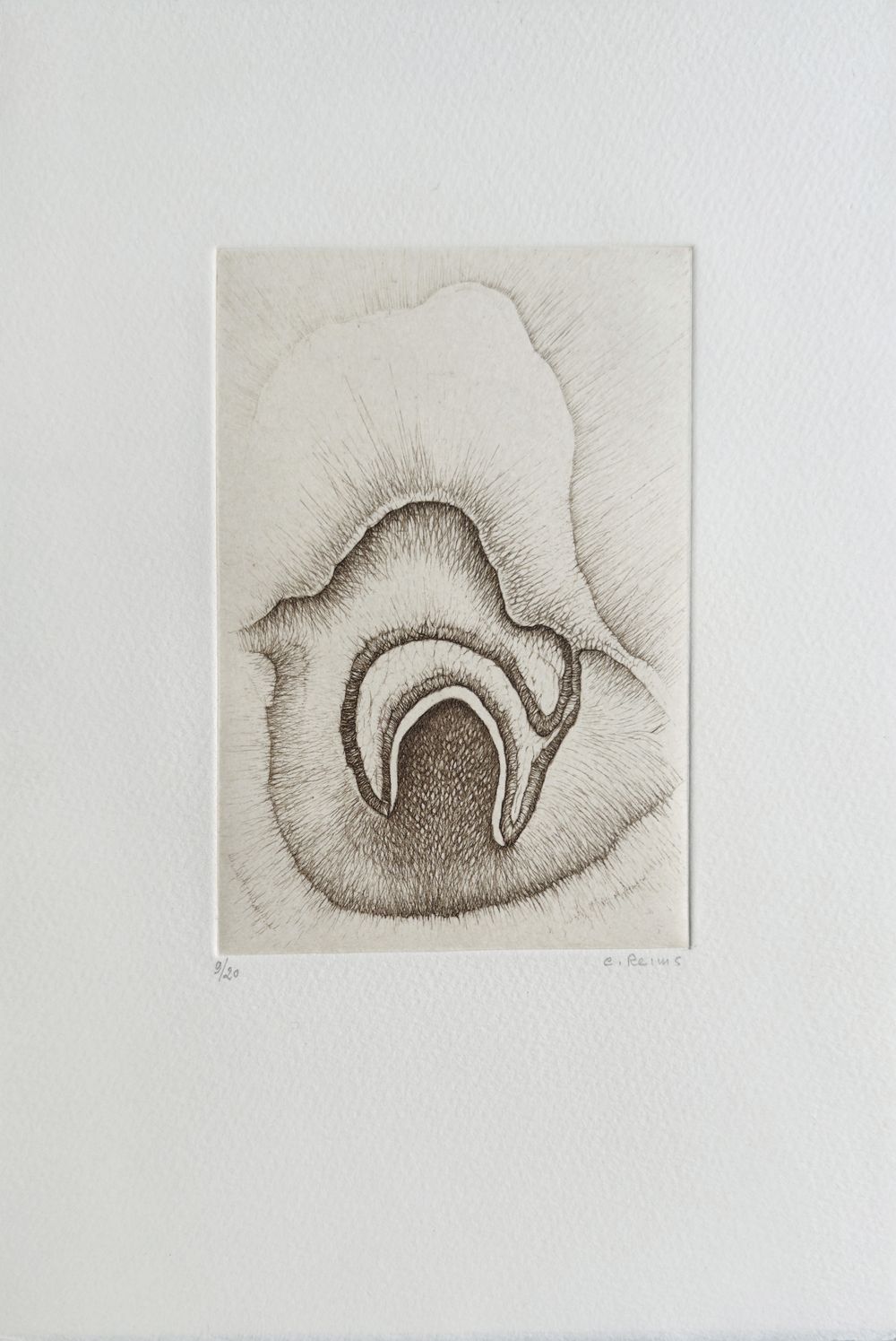 Histoire naturelle I (portfolio de 5 gravures)