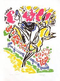 Sports - Le saut de la haie