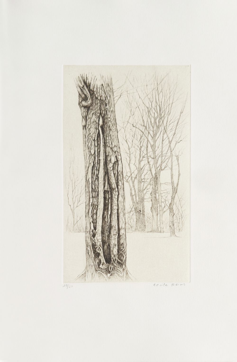 Plaies d'arbres (portfolio de 10 gravures)