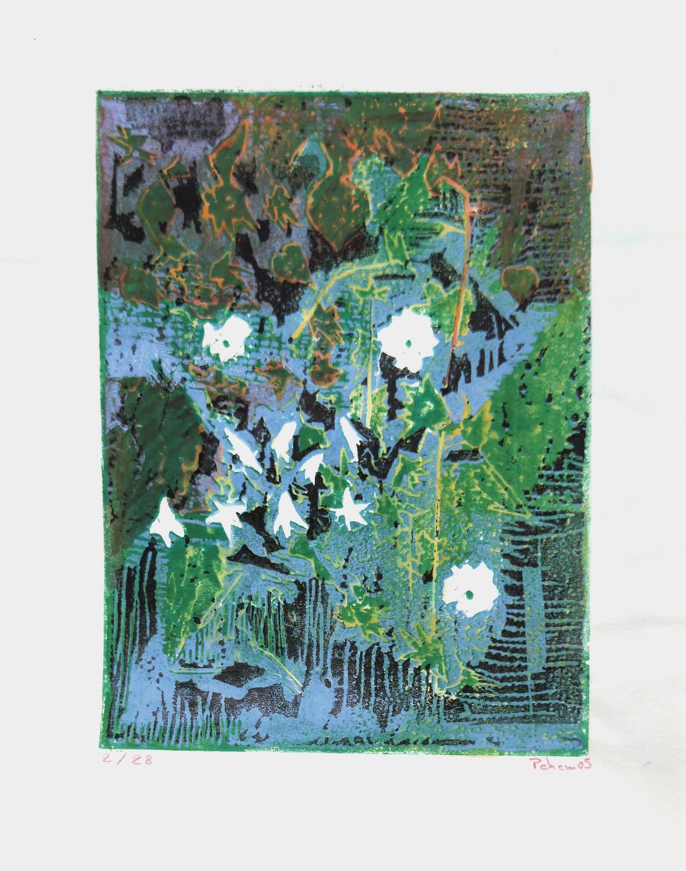 Petites fleurs blanches