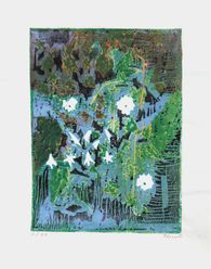Petites fleurs blanches