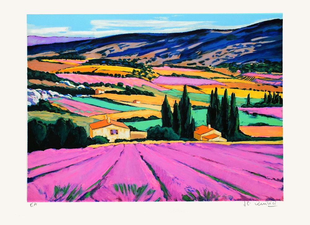Provence : champs de lavandes