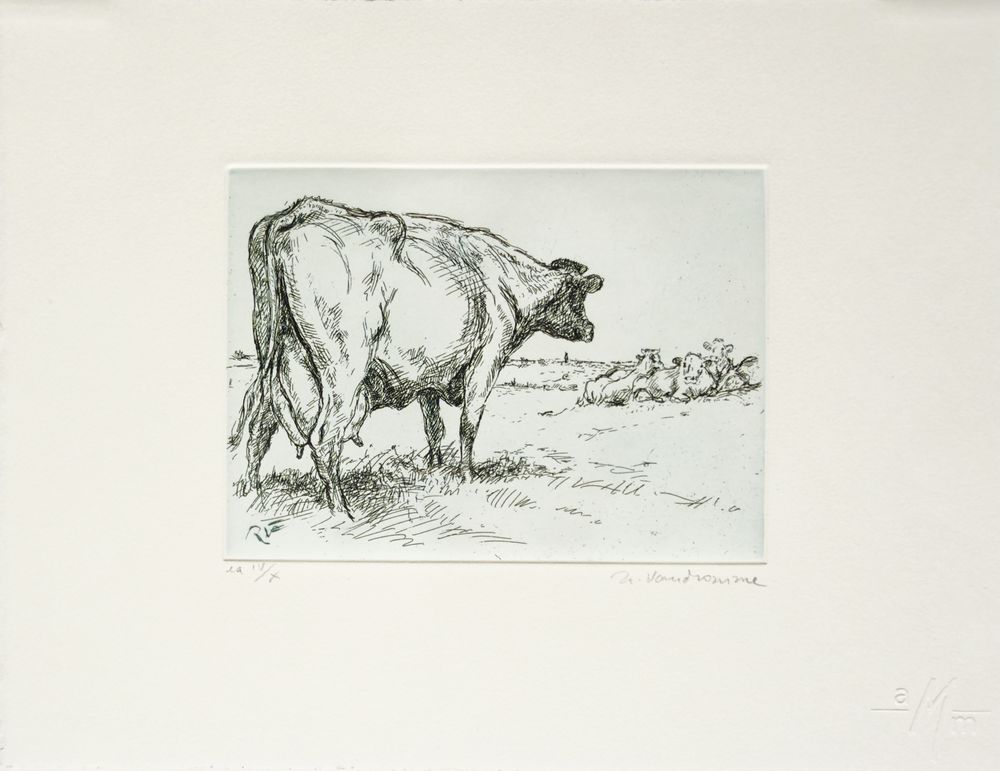 Vaches au pré I