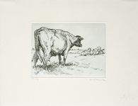 Vaches au pré I