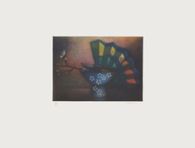 La branche de cerisier