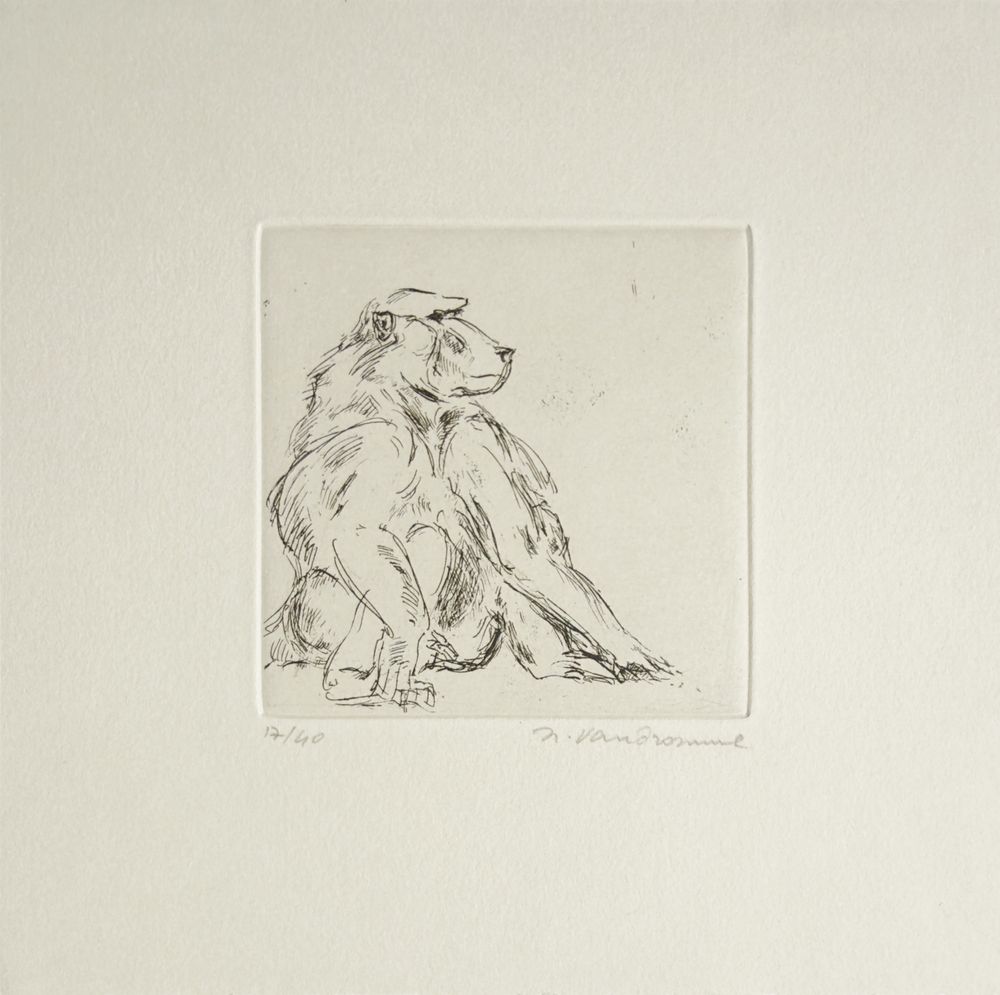Le singe II