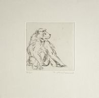 Le singe II