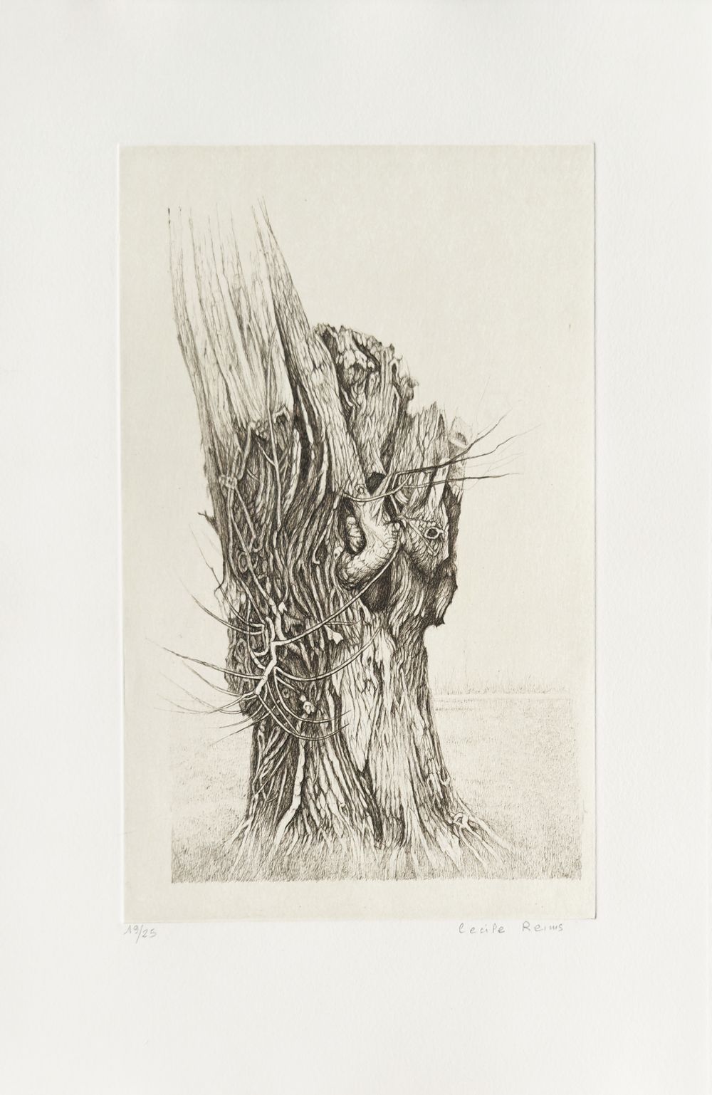 Plaies d'arbres (portfolio de 10 gravures)