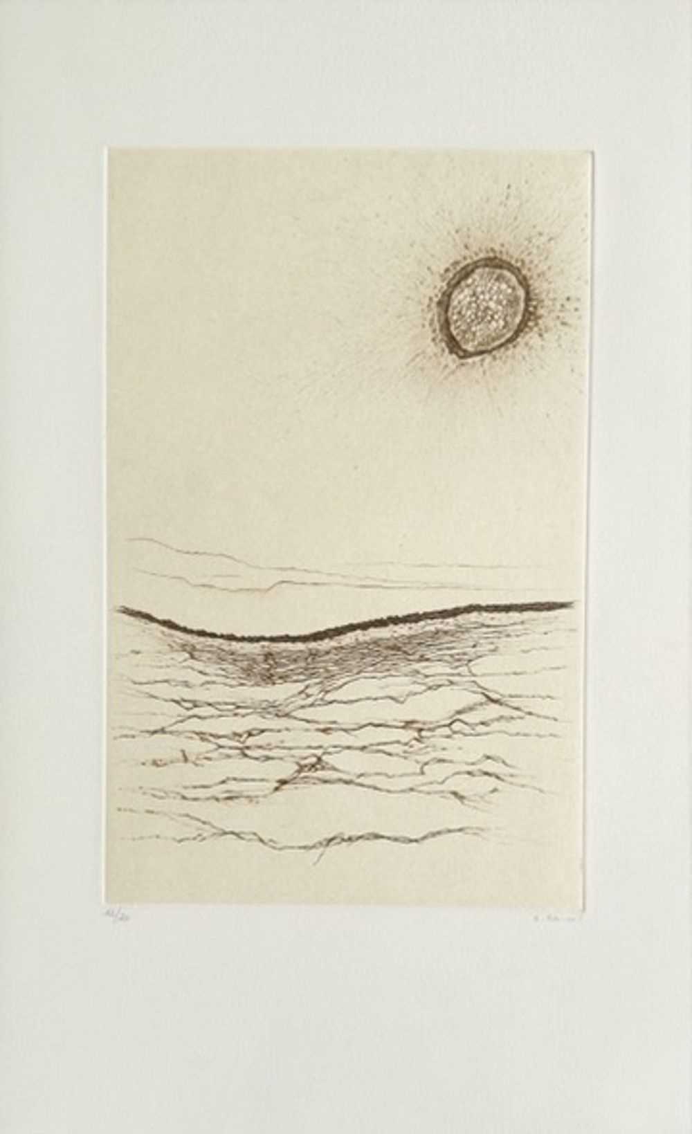 Histoire naturelle IV (portfolio de 5 gravures)