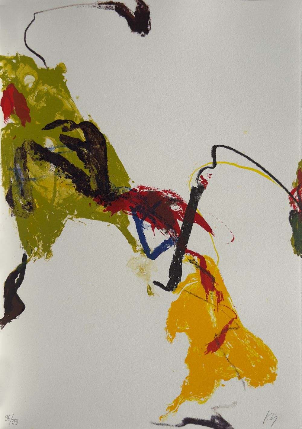 Rêves de couleurs (12 lithographies signées)