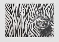 Le tigre