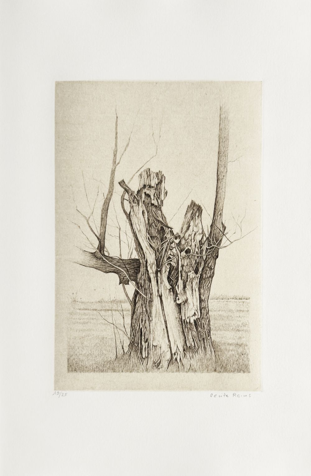 Plaies d'arbres (portfolio de 10 gravures)