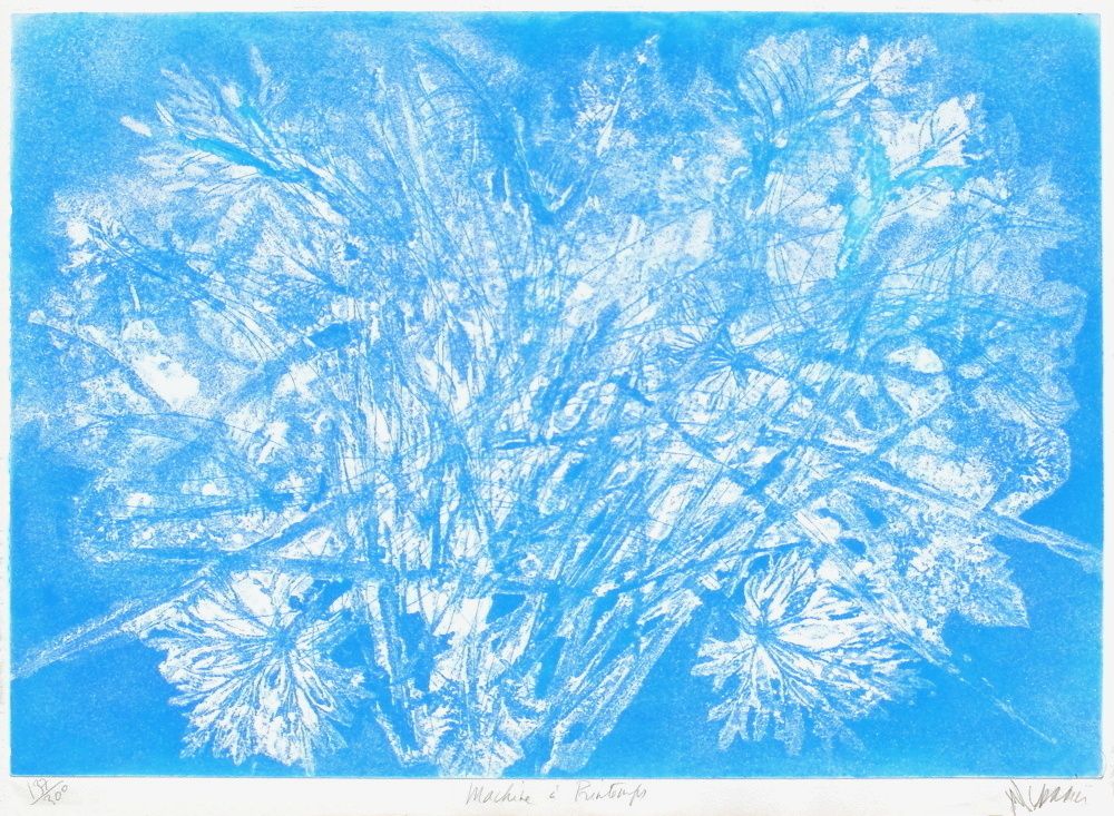 AP172 - Machine à Printemps