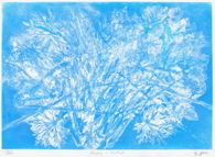 AP172 - Machine à Printemps