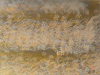 Beauties of Nature II