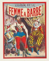 Liqueur de la femme à barbe