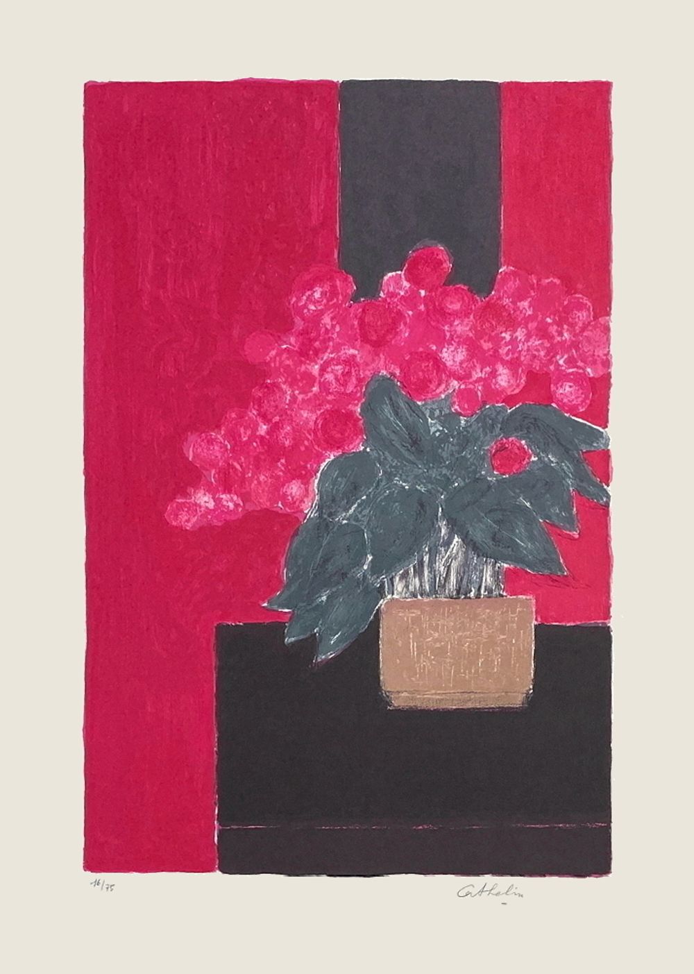 Le begonia rose à la table noire