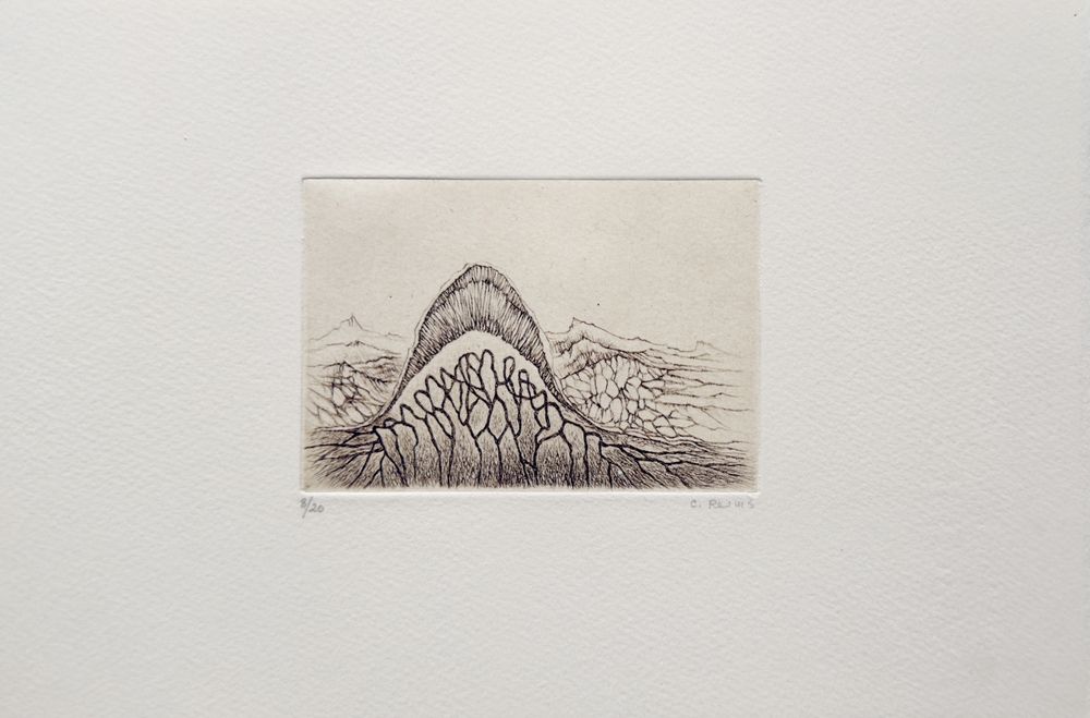 Histoire naturelle III (portfolio de 6 gravures)