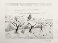 Camargue - Le Mas aux amandiers