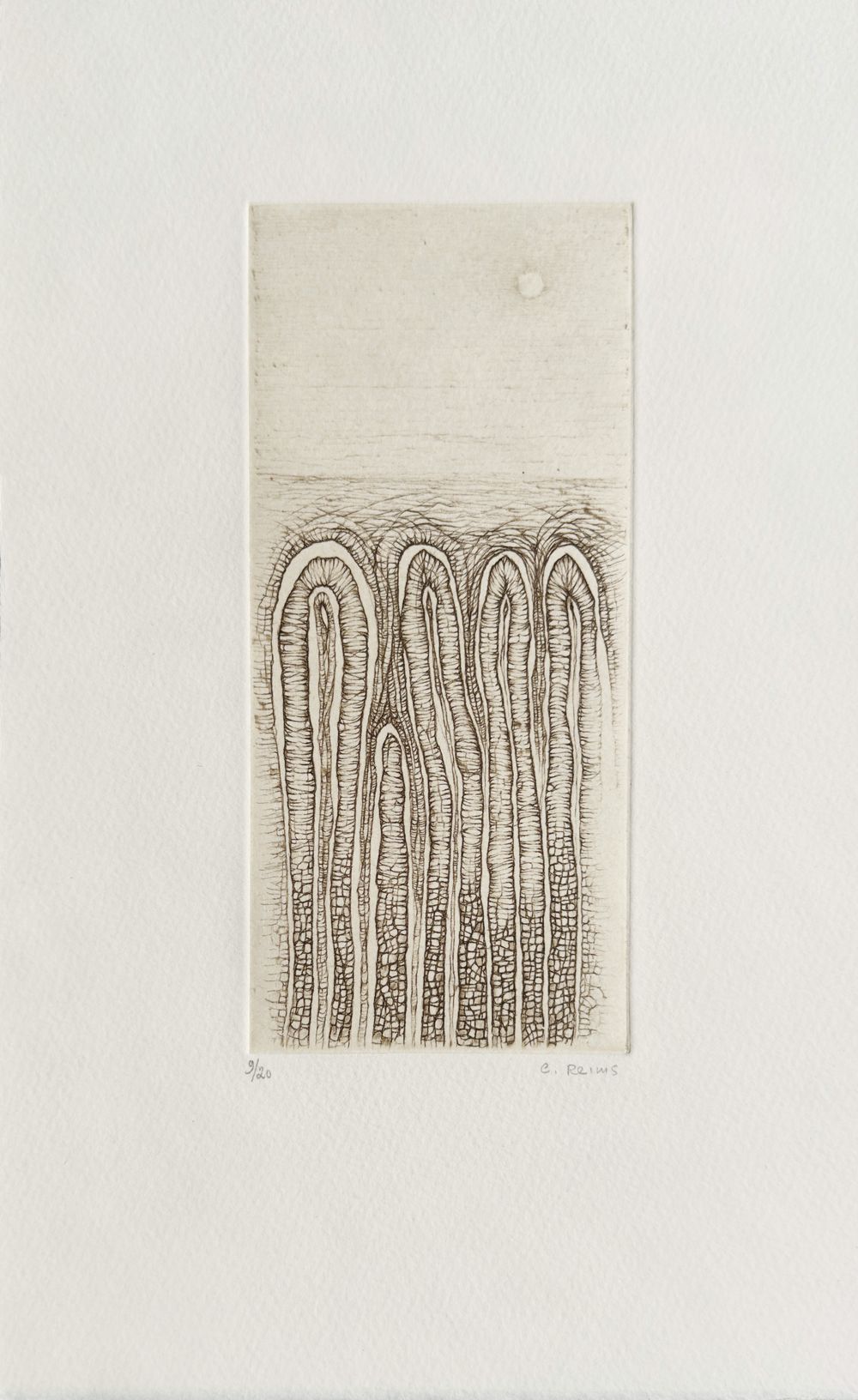 Histoire naturelle I (portfolio de 5 gravures)