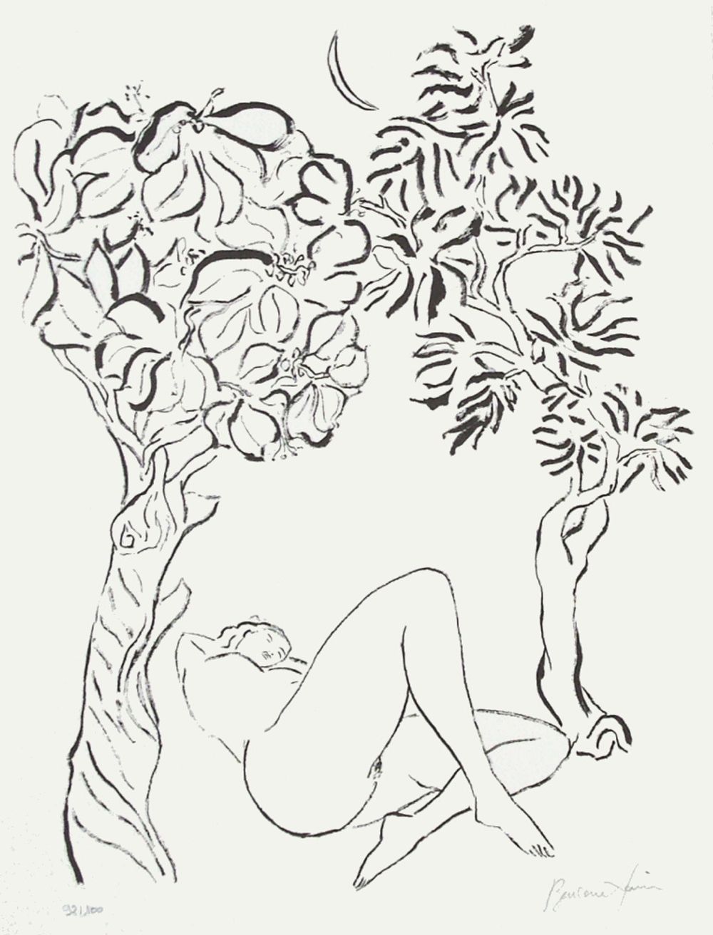Nu XIV