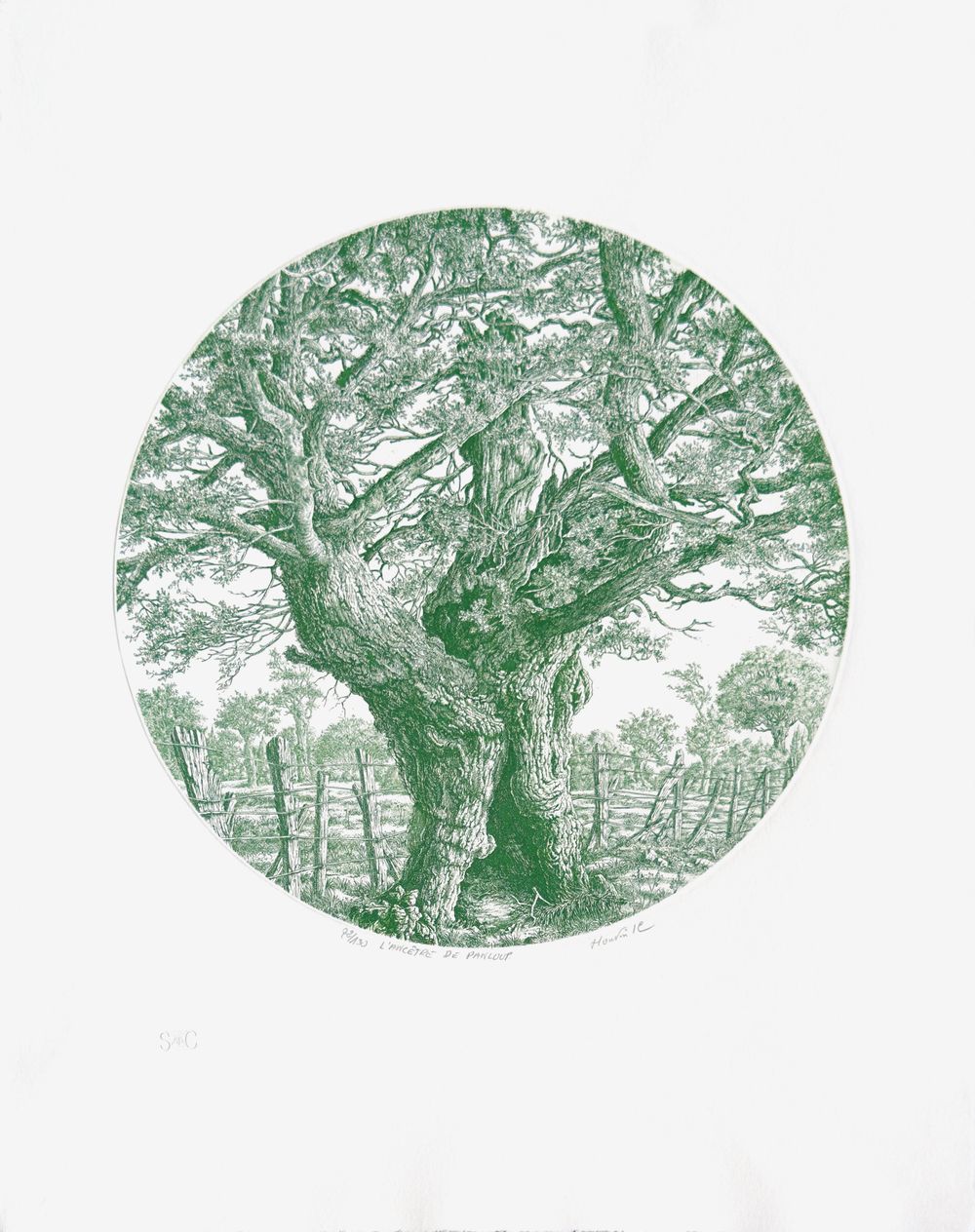 L'ancêtre de Panloup