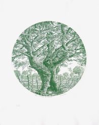 L'ancêtre de Panloup