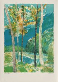 Rivière aux grands arbres