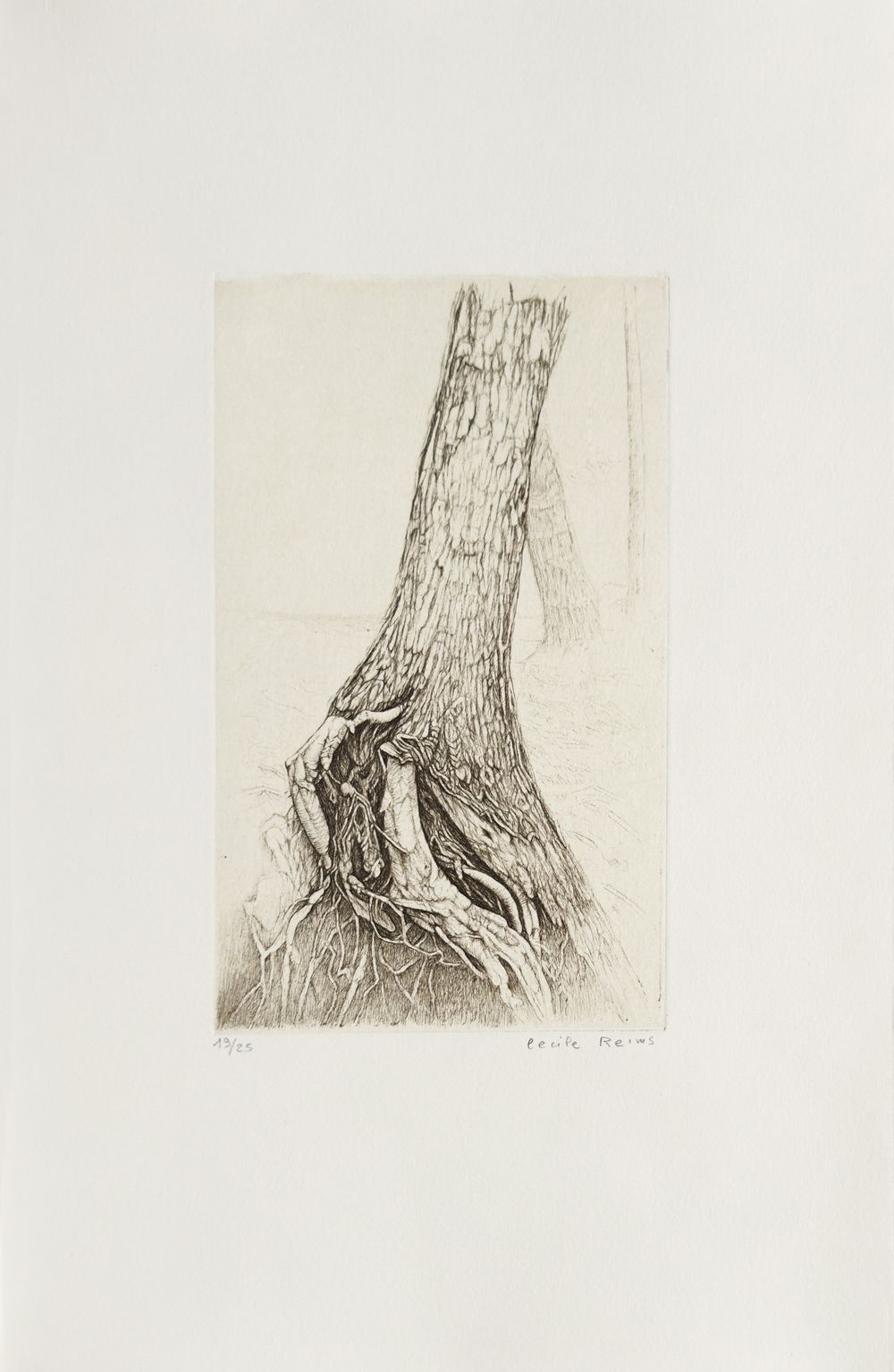 Plaies d'arbres (portfolio de 10 gravures)