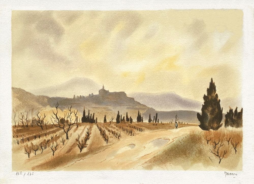 Les vignes en Provence