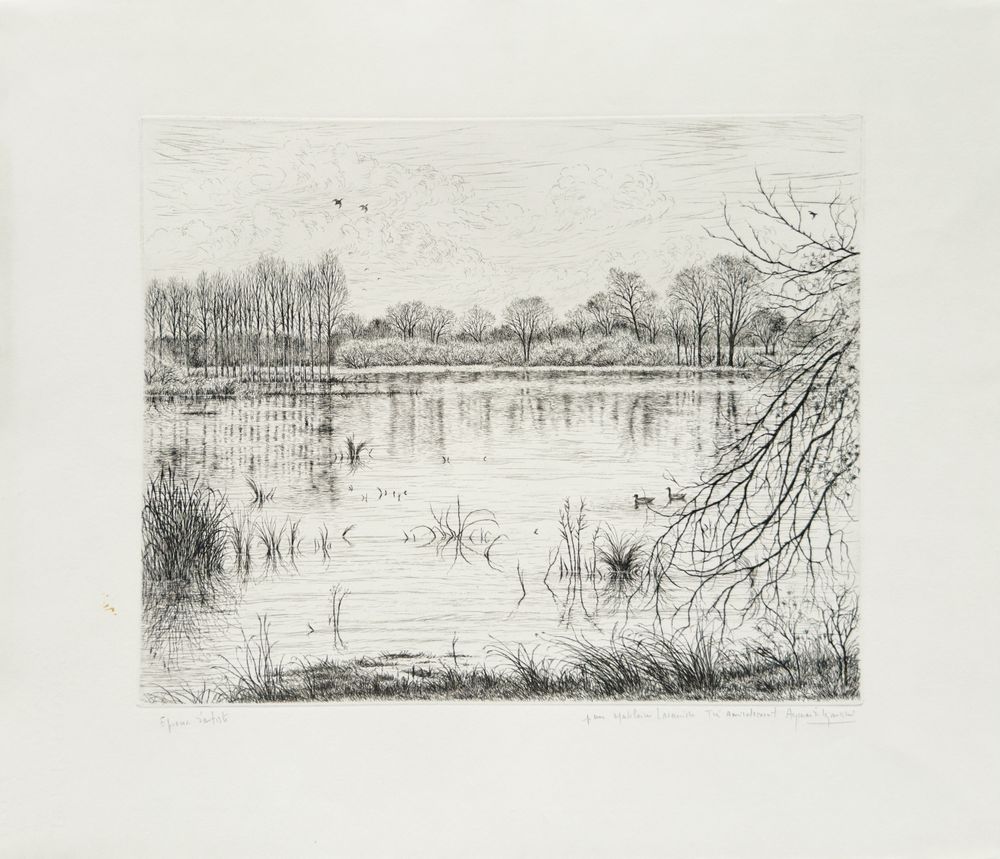 Paysage de Brière I