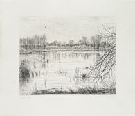 Paysage de Brière I