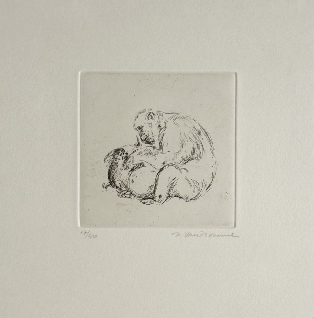 Le singe I