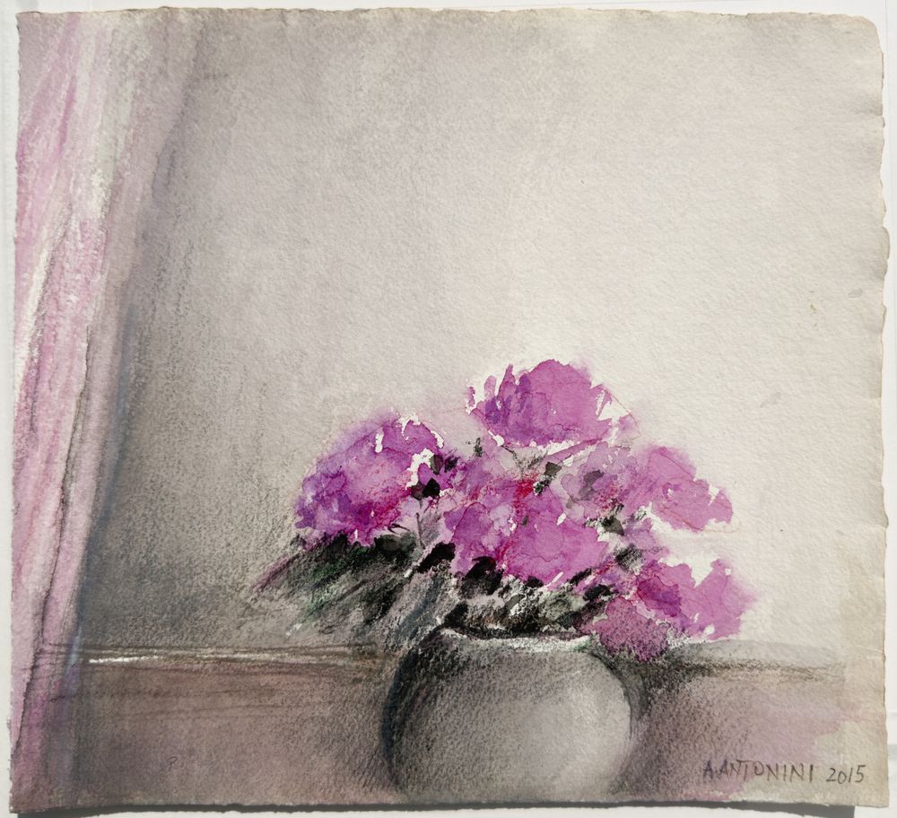 Fleurs mauves