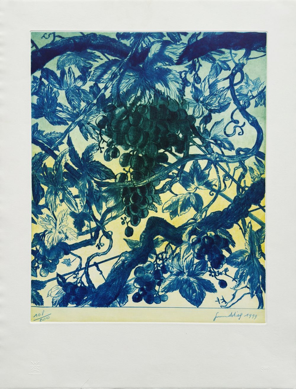 La vigne
