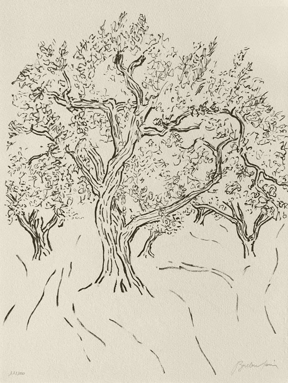 Figuier III