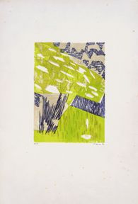 Marguerites en touffe