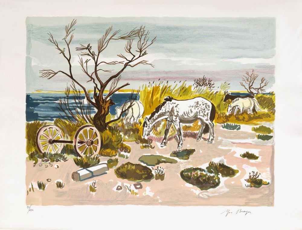 Camargue - chevaux au bord de l'étang