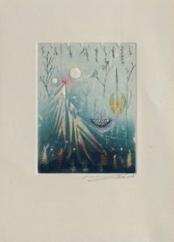 Luminescence australe