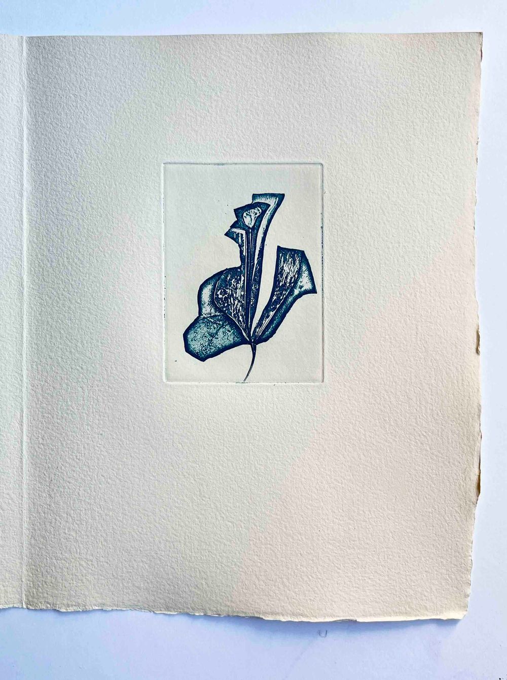 Floréal - 7 etchings