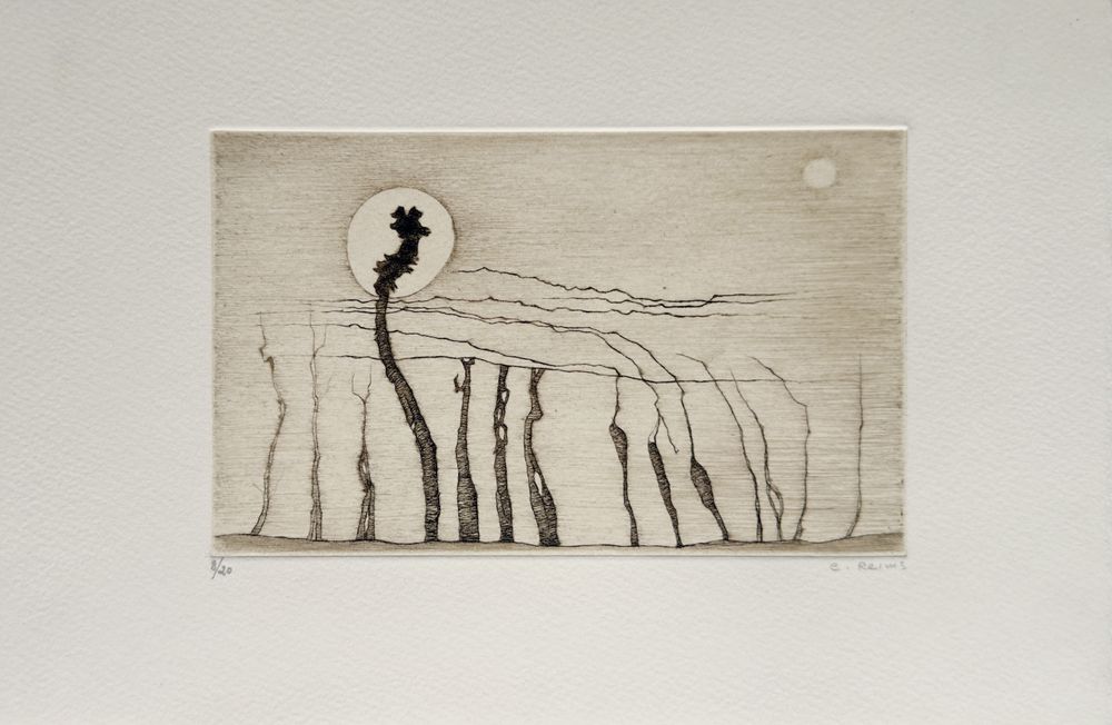 Histoire naturelle III (portfolio de 6 gravures)