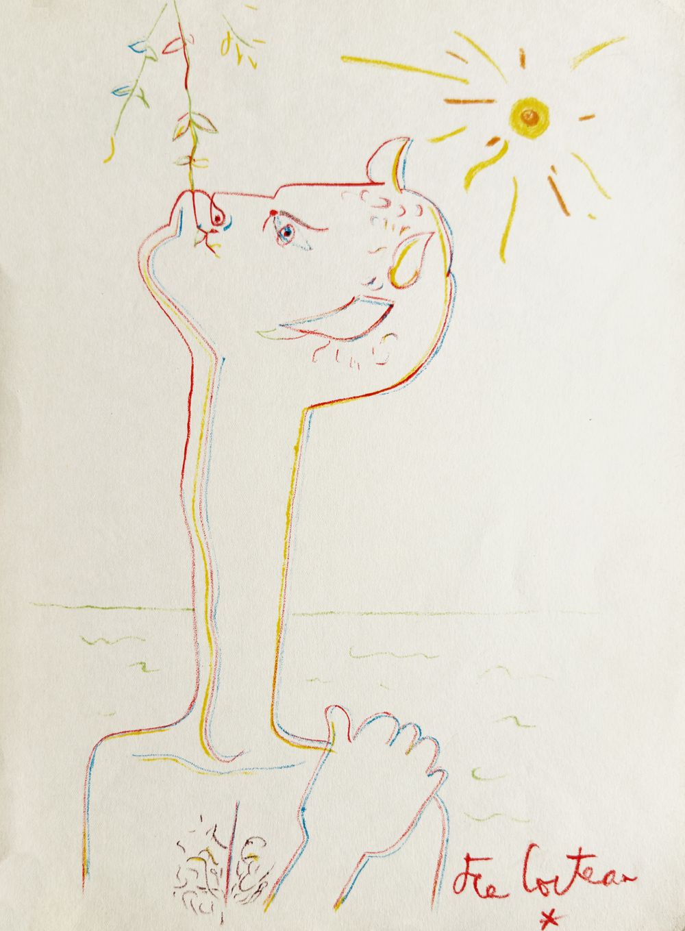 Montagnes marines - Faune au long cou